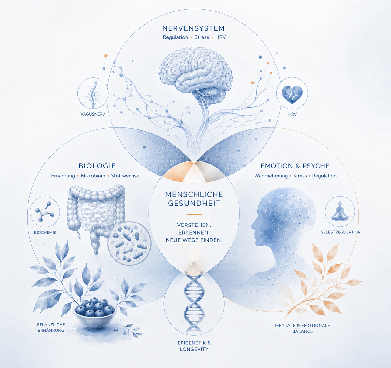 Grafik Longevity-/Gesundheitserhalt-Illustration