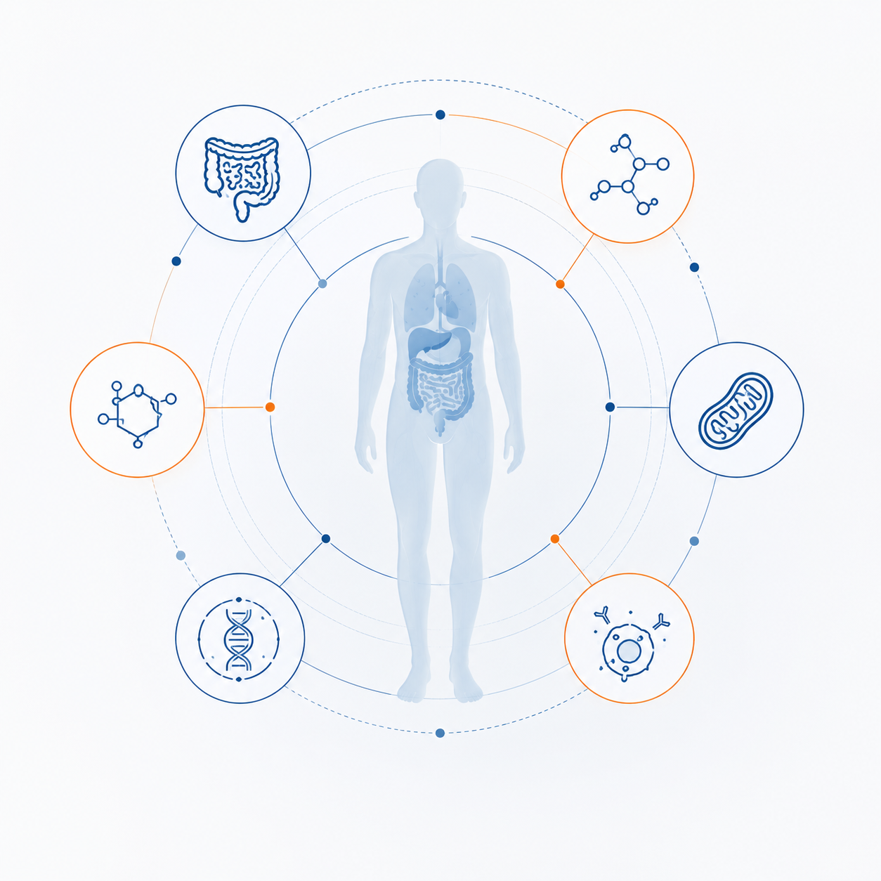 Funktionelle Medizin_Skizze