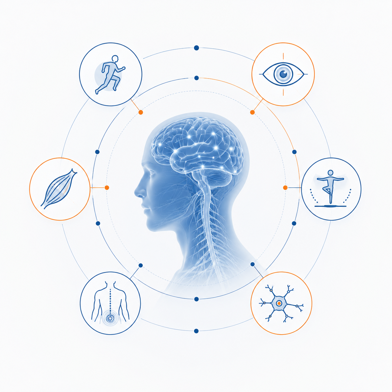 Neurointegrative Medizin_Skizze